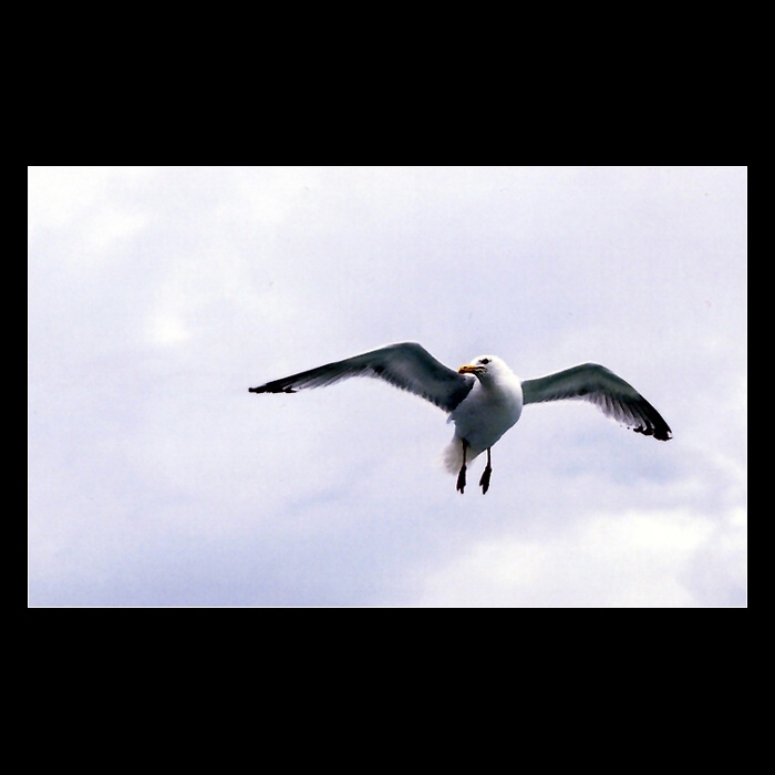 Flying IV.
