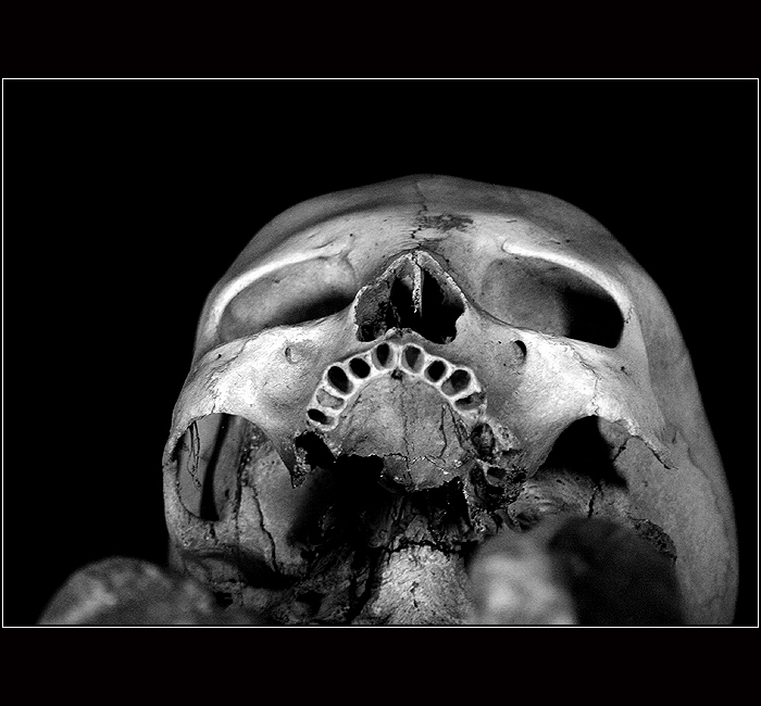 Cesta dlouhého dne do noci...