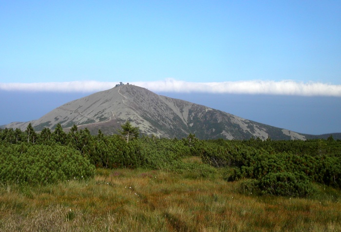 Sněžka