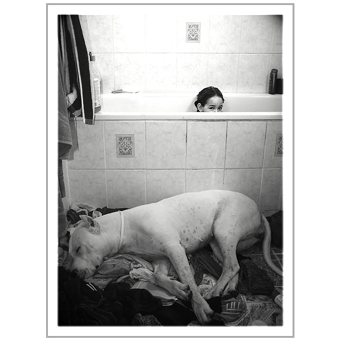 <b>.:: W&A ::.</b><br>