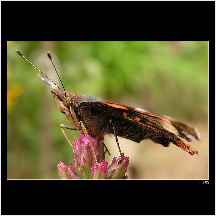 *** soustředění ***