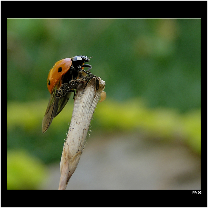 *** přílet nebo odlet? ***