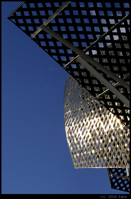 Frank Gehry - Ryba