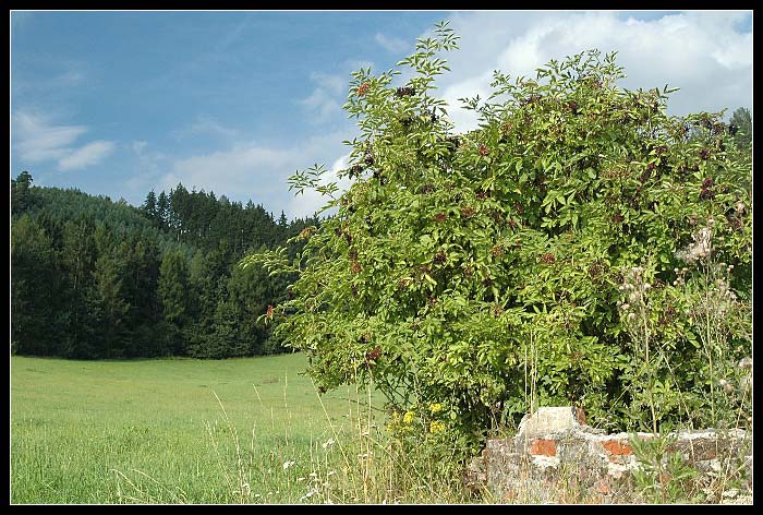 Pok Kokrháčem II