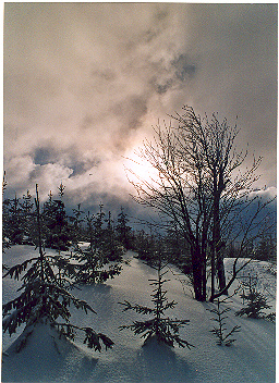 Krkonoše 2005