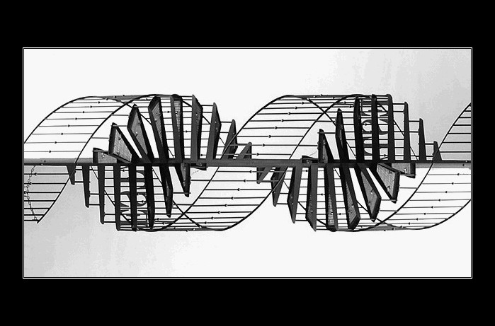 DNA