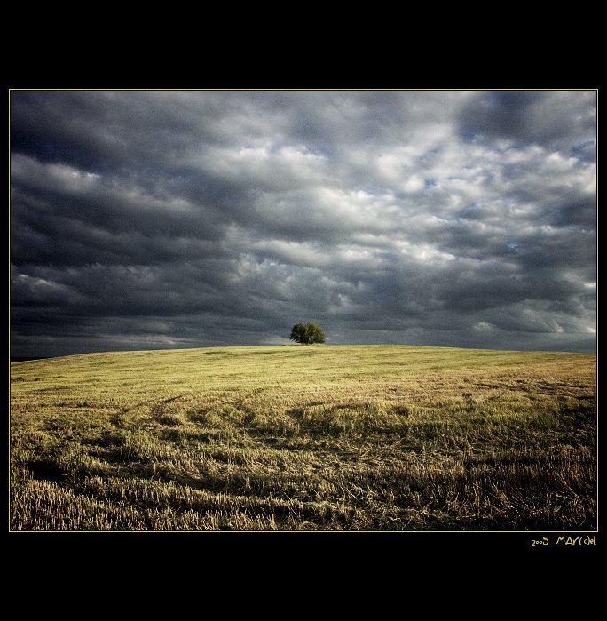 ..:: poruŠenÍ zÁsad ::..