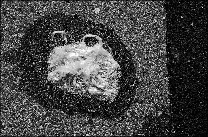 Igelitka překvapená náhlou bouří