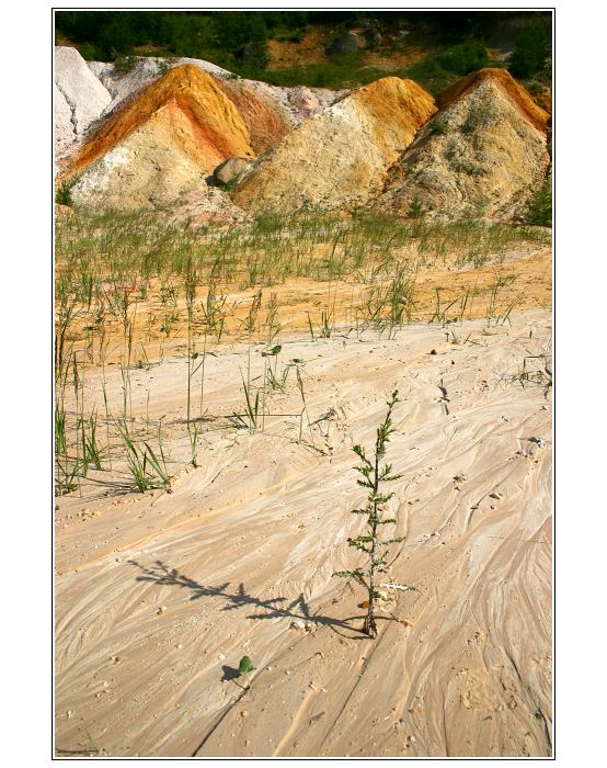 Yellowstone na Moravě II :o))