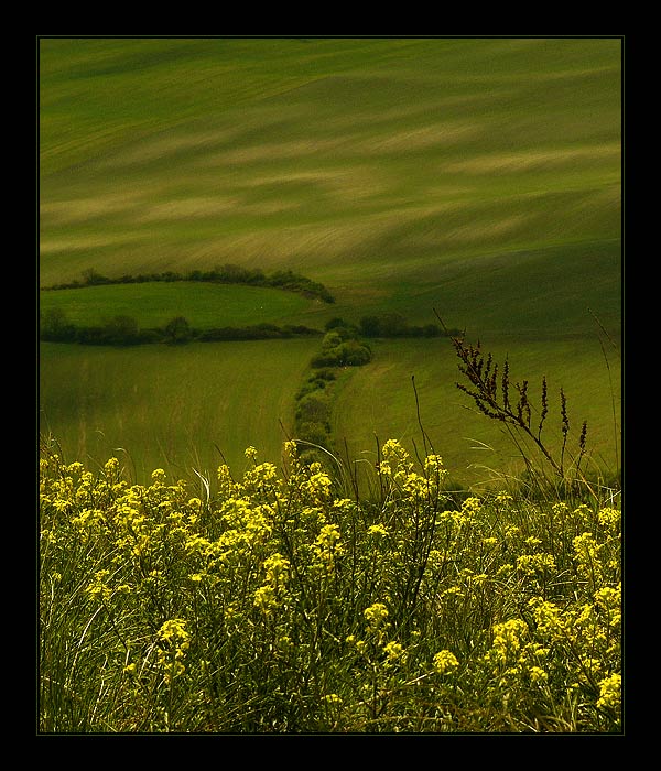 Z Oblíku trochu jinak