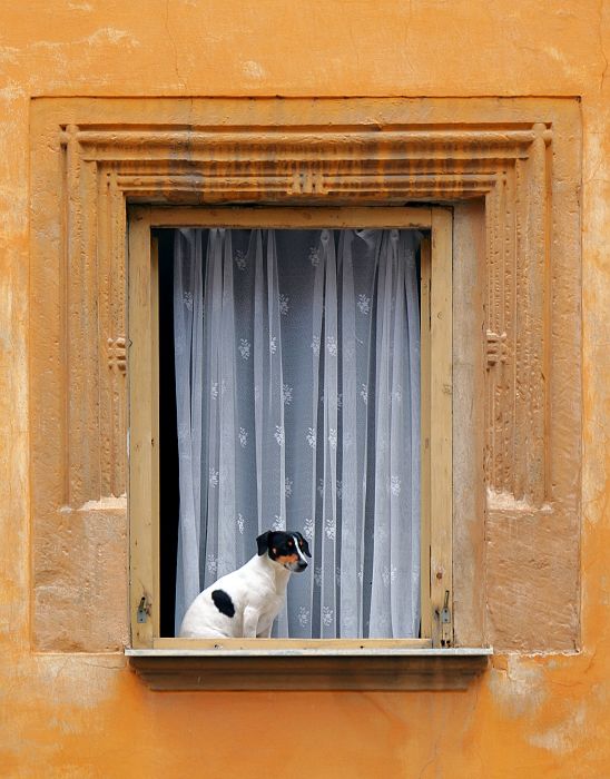 ...když zrovna nehledá na seznamu...