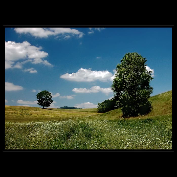 <b>Z LUŽICKÝCH HOR (II)<hR></b>(...jen tak...)<br><b>
