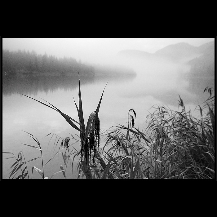 Ranní Pillersee...
