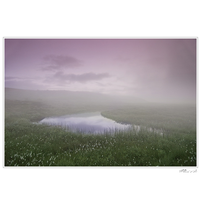 ...Za mlhou hustou,že by se dala krájet...