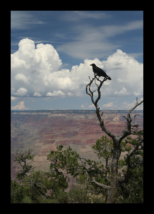 Grand Canyon II