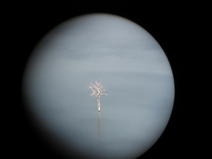 Neptun