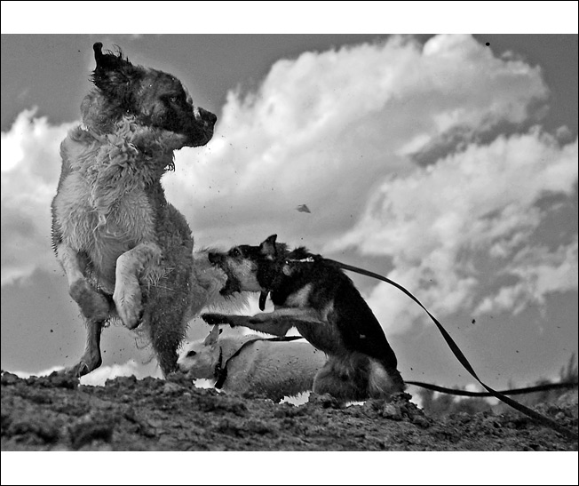 Dvaja mali su viac nez jeden velky