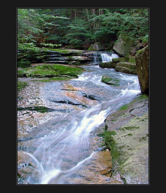 oko-potěchovka-potokovka