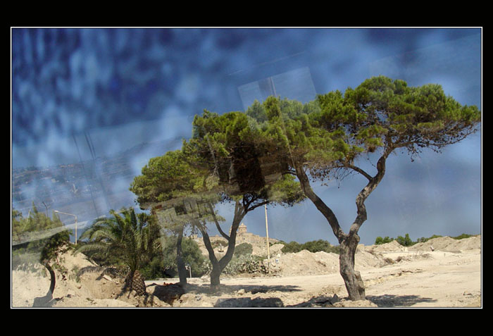 From window of bus