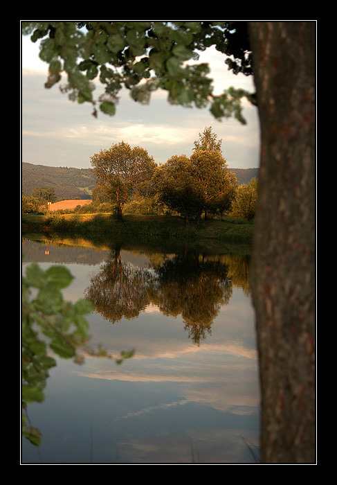 ..Želva..