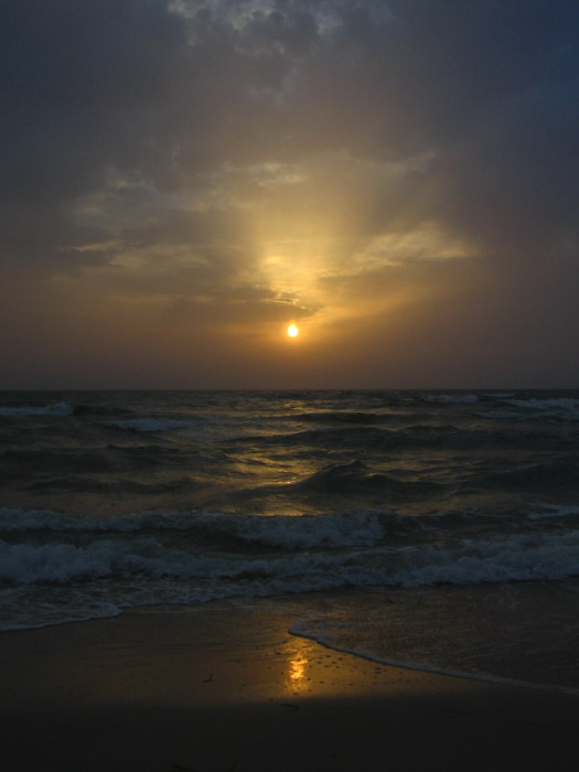 ..:: Holiday ::..