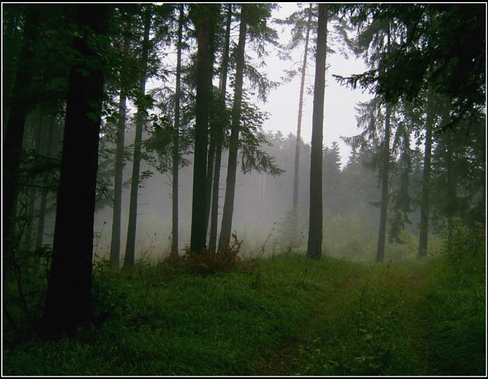 za svetlom