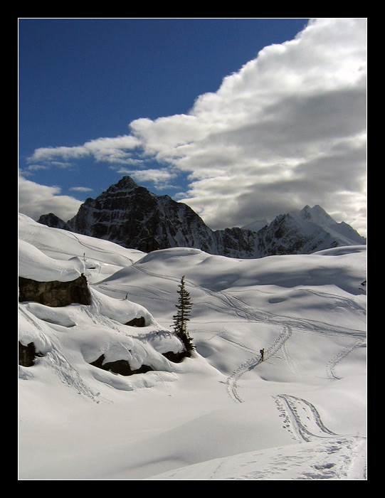 Tupper glacier (Roger pass)