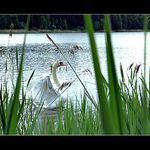 Taaak se protahnu... a poletím!