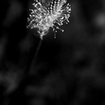 ...alone in dark...