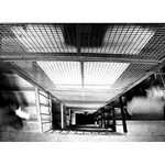 <b>1.narodeniny (psychorun)</b>