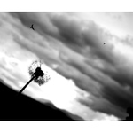 <b>poďme spolu lietať</b>