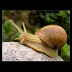 ... konečne budem aj ja na PP :-)