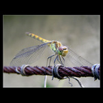 Nazdar lidi! Jak se vede?