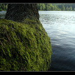  	Letní putování III