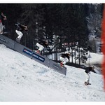 Spindlerovska sekana