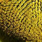 ***Hranice dne a noci***