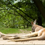 <B>... A8 ... zásah, minolovka potopena ...</B>