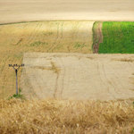 krajina se stožáry