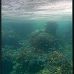 Chorvatsko - Pdvodní rodiny