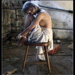 Krocení zlé ženy III.