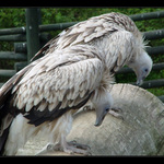 "Dělej že tu nejsi!! Oni za chvilku odejdou ..."