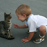 " Ty jsi pěkná kočička"