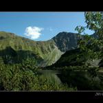 Roháčské pleso