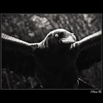 ...in the autumn of one's life...