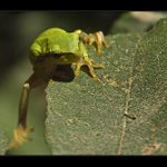 No počkej, až se tam vyškrábu !!!