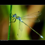 <b>..:: Co s tím focením pořád mají </b>