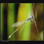 <b>Až mě z tý zimy stojí chlupy...