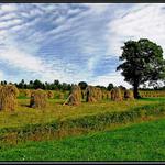 krajina môjho detstva II.