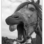 aaaaaaaaaaaaaaa zasekla se mi huba v pantu!