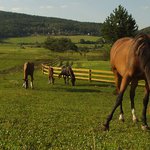 takova letni pohodofka